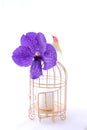 Bird with cage and flower