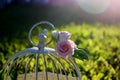 Bird cage with spring blossom flowers. Wedding decorations.