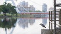 Bird,canal and bridge Royalty Free Stock Photo