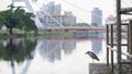 Bird,canal and bridge