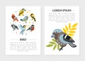 Bird Card Templates with Text Set, Cute Birdies Brochure, Poster, Banner, Card Vector Illustration