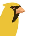 Bird cardinal head vector illustration flat style profile Royalty Free Stock Photo