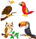 Bird cartoon collection