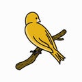 Bird cartoon vector illustration. canary bird. animal hand-drawn style Royalty Free Stock Photo