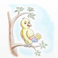 Bird cartoon water colour illustrations Royalty Free Stock Photo
