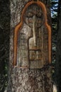 Bird Carved in a Tree in Alaska