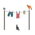 Bird, cats and laundry, vector or color illustration