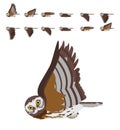 Morepork Ruru Owl Bird Flying Animation Sequence Cartoon Vector Royalty Free Stock Photo