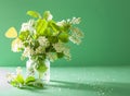 Bird-cherry blossom in vase over green background Royalty Free Stock Photo