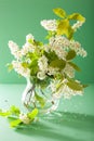 Bird-cherry blossom in vase over green background Royalty Free Stock Photo