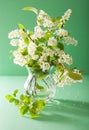 Bird-cherry blossom in vase over green background Royalty Free Stock Photo