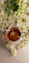 Bird cherry tree, a mug of tea. Herbal bird cherry tea