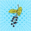 Bird cherry twig on blue background . Vector illustration. Hand drawn on style pop art