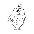 bird chick hand drawn doodle. , scandinavian, nordic, minimalism, monochrome. bird, cute baby print, sticker, decor