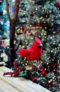 Bird Christmas decoration