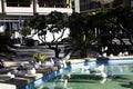 Bird in the city. Closeup of white doves in a city fountain in the public garden of the city of Benidorm Spain