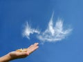 Bird-cloud Royalty Free Stock Photo