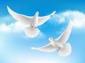 Bird in clouds. Flying white pigeons in blue sky peaceful religion concept with realistic birds vector background