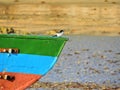 Bird at the boat in Cumuruxatiba beach, Prado, Bahia, Brazil