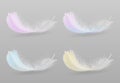 Bird colorful feathers 3d realistic vector set