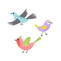 Bird colorful set. Flying bird. Little bird, nestling, chick. Spring, easter. Flat, cartoon, isolated Royalty Free Stock Photo