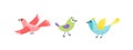 Bird colorful set. Flying bird. Little bird, nestling, chick. Spring, easter. Flat, cartoon, isolated Royalty Free Stock Photo