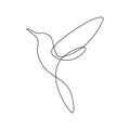 Bird continuous line drawing vector illustration minimalist design good for logo branding and abstract minimalism poster Royalty Free Stock Photo