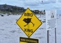 Bird Crossing Sign in Indian Rocks Beach due to Black Skimmer breeding