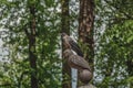 Crow on a stone tombstone owl grave Ukalovic. Lazarevskoye cemetery of Alexander Nevsky Lavra, St. Petersburg, Russia