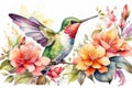 bird cute hummingbird floral watercolor