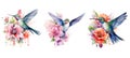 bird cute hummingbird floral watercolor ai generated