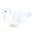 Rd cute small ornamental white dove on a white background vintage vector illustration editable Royalty Free Stock Photo