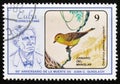 Bird Dendroica petechia guundlachi Canary of the mangrove, `The 90th Anniversary of the Death of Juan C. Gundlach`, circa 1986