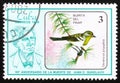 Bird Dendroica pityophila. Bijirita delpinar, the series `The 90th Anniversary of the Death of Juan C. Gundlach` circa 1986