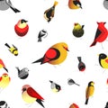 Bird different types of animals bullfinch pattern vector