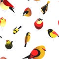 Bird different types of animals bullfinch seamless pattern vector.