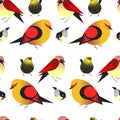 Bird different types of animals bullfinch seamless pattern vector.