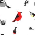 Bird different types of animals bullfinch seamless pattern vector.