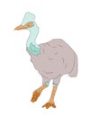 Bird dinosaur drawing color, vector Royalty Free Stock Photo