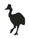 Bird dinosaur drawing silhouette, vector Royalty Free Stock Photo