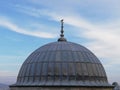 Bird on dome