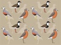 Bird Dotterel Cartoon Cute Seamless Wallpaper Background