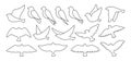 Bird dove linear abstract sign set doodle modern trendy fowl sparrow art dove pigeon simple contour