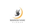 Bird Dove Logo Template Royalty Free Stock Photo