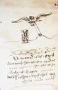 Bird, dove, mechanism of flight and manuscripts in the vintage book Manuscripts of Leonardo da Vinci, Codex on the Flight of Birds