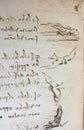 Bird, dove, mechanism of flight in the vintage book Manuscripts of Leonardo da Vinci, Codex on the Flight of Birds by T.