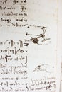 Bird, dove, mechanism of flight in the vintage book Manuscripts of Leonardo da Vinci, Codex on the Flight of Birds by T.
