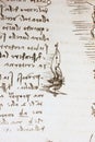 Bird, dove, mechanism of flight in the vintage book Manuscripts of Leonardo da Vinci, Codex on the Flight of Birds by T.