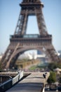 Bird dove near the Eiffel Tower