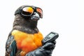 A bird dressed as a delivery drone operator, holding a tiny remote control, against a white background. picture
